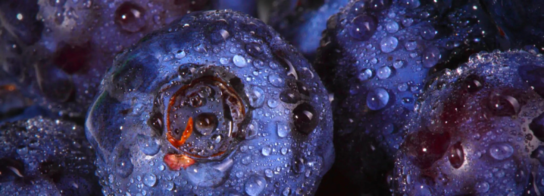 Second two colum two Wherever celebrations and good times happen